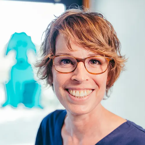 Dr. Katja Willeke